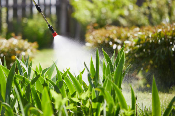Tamper-Resistant Bait Stations for Rodents in Helena