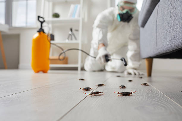 Commercial Rodent Management in Helena